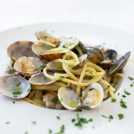 La Conchiglia Sul Mare Hotel San Felice Circeo