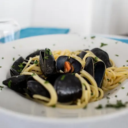La Conchiglia Sul Mare San Felice Circeo
